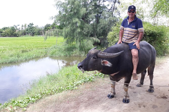 Private Hoi An Countryside: Biking, Basket boat, buffalo, foods - Local foods cooked by real local chefs
