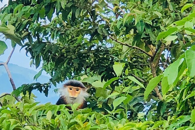 Private Jeep tour Monkey Mountains -Son Tra and Marble by SUV car - Price and Value, Is It Worth $85?