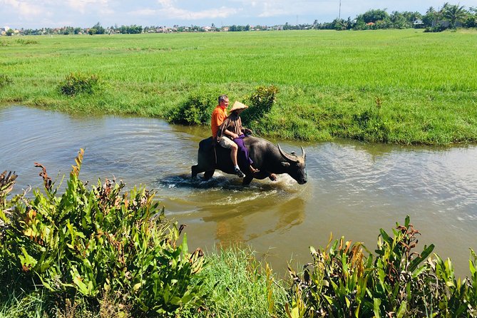 Riding Water Buffalo and Basket Boat Hoi An Private Bike Tour - Stop 1: Tra Que Vegetable Village and the herb-and-veg workday