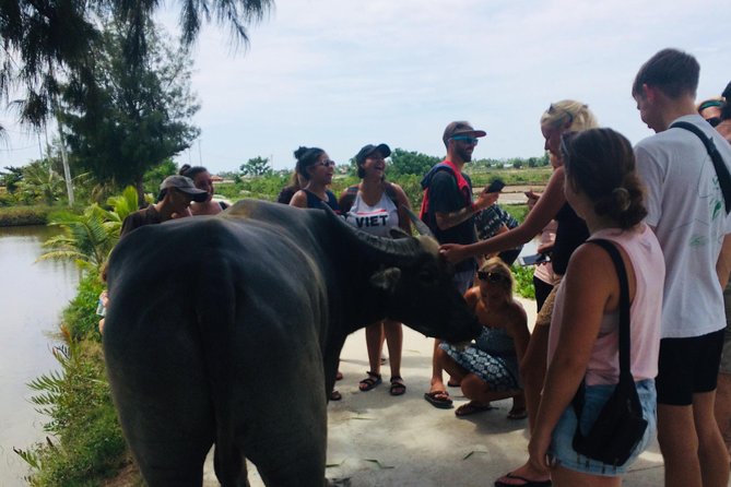 Riding Water Buffalo and Basket Boat Hoi An Private Bike Tour - Stop 2: Cam Chau with paddy fields, morning glory, and woodworking