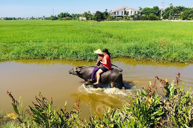 Riding Water Buffalo and Basket Boat Hoi An Private Bike Tour - Start point and how the tour runs in real life