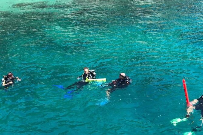 Scuba Diving Tour in Cham Island for certified divers or Beginners - Hoi An to Cham Islands: An 8-Hour Sea Day That Moves