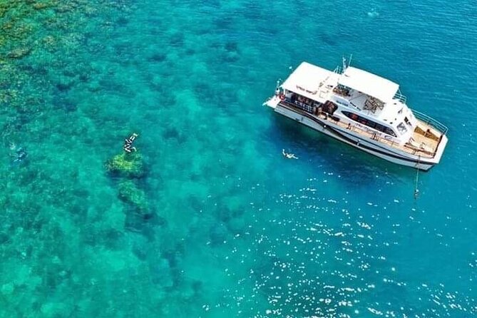 Scuba Diving Tour in Cham Island for certified divers or Beginners - The Scuba Session and Snorkeling: How It Fits Beginners and Certified Participants