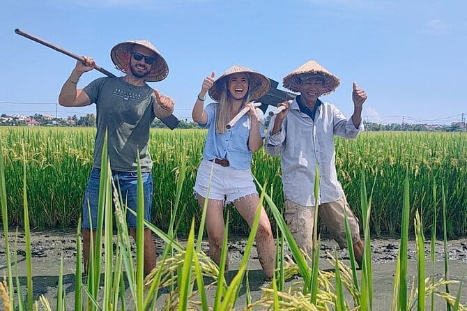 Small Group Bicycle Tour with Farming and Fishing Experience - Rice paddies: helping with ploughing and planting baby rice