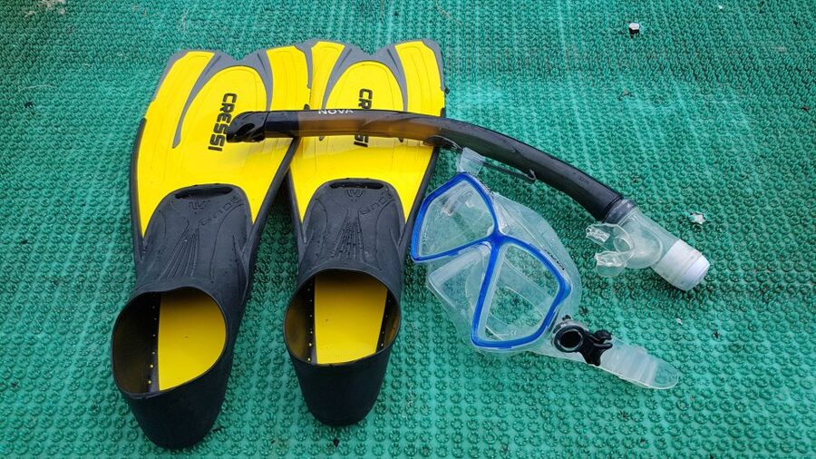 Snorkeling Cham Island: Snorkeling Tour by Speed Boat - The Return Ride Back to Da Nang or Hoi An