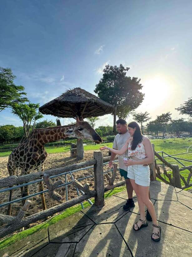 South Hoi An River Safari With Candle-lit Beach Dinner - Timing, transfers, and why 5.5 to 6.5 hours feels full