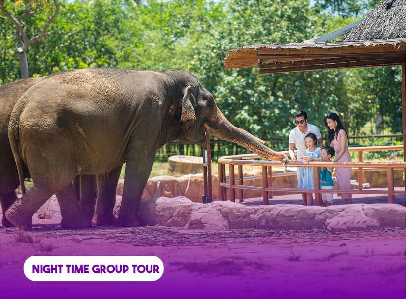 South Hoi An River Safari With Candle-lit Beach Dinner - VinWonders Nam Hoi An and the river safari experience