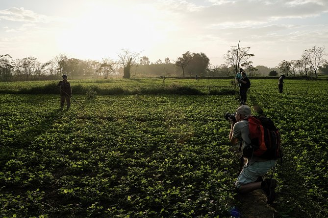 Sunset photo tour with the farmers - Price and logistics: is $55 worth your 4 hours?