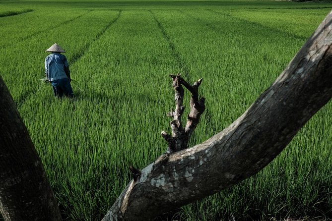 Sunset photo tour with the farmers - Who should book this, and who should skip it?