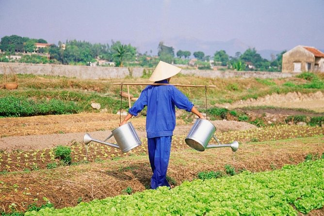 Tra Que Village Cycling And Farming - Key highlights at Tra Que Village