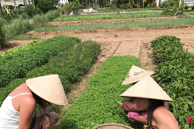 Tra Que Village Cycling And Farming - Lunch at Tra Que: light Pho that actually fits the schedule