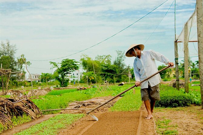 Tra Que Village Cycling And Farming - The cycling route, water buffalo views, and why it feels local