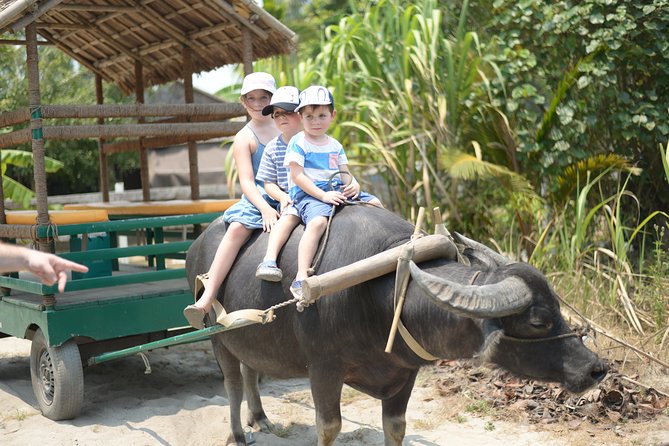 Traditional Cooking Class with Basket Boat Ride and market Tour - Thu Bon River cruise to Bay Mau coconut forest