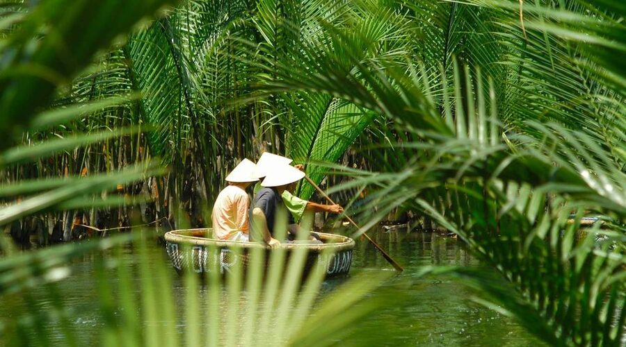 Tranquil Basket Boat Ride at Water Coconut Forest - Photos in the water coconut forest without the crowd pressure