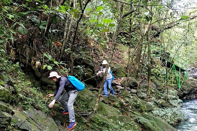 Transfer from Hue to Da Nang or Hoi An via Bach Ma National Park - The 8:00 am start and how the full 10 to 11 hours plays out