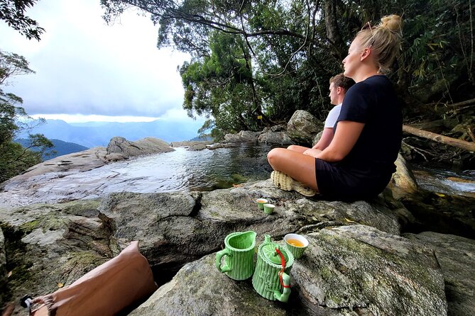 Transfer from Hue to Da Nang or Hoi An via Bach Ma National Park - Logistics that affect comfort: small group, English guide, and mobile ticket