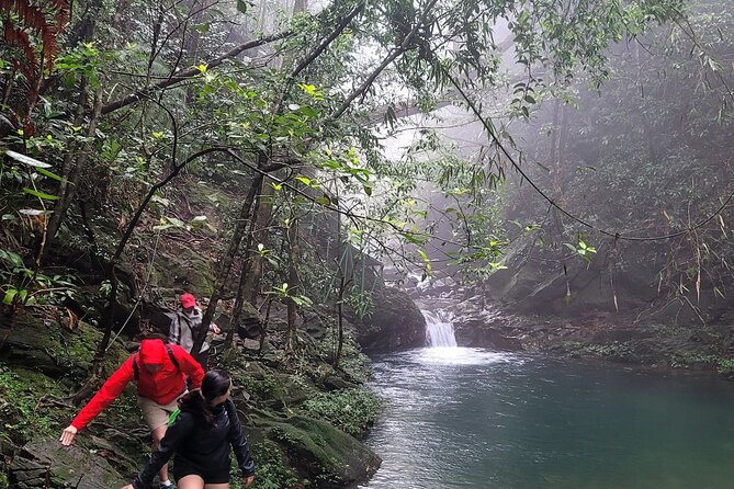 Transfer from Hue to Da Nang or Hoi An via Bach Ma National Park - Bach Ma National Park gate at 9:30, then the Ngu Ho (Five Lakes) trekking stage