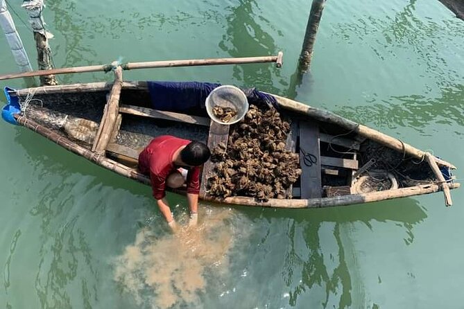 Vietnam/Lang Co Oyster Tour by Fishing & Tasting Oyster Flavors - Key things I’d circle before you go