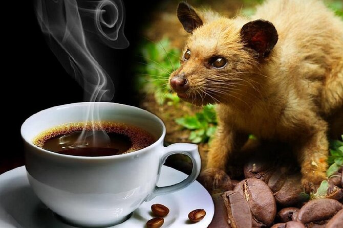 Vietnamese Culture and Coffee Making Class - Vietnamese Coffee History, French Influence, and Why It Matters