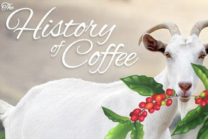 Vietnamese Culture and Coffee Making Class - Should You Book This Coffee Making Class?