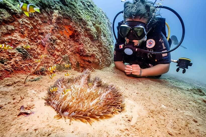 Visit Cham Islands & Snorkelling & Scuba Diving - Cham Islands, in Plain English: What You’re Actually Buying