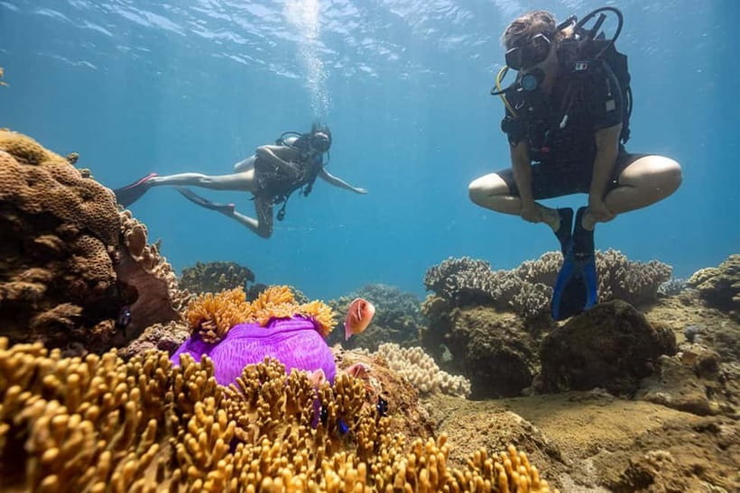 Visit Cham Islands & Snorkelling & Scuba Diving - Price, Inclusions, and the Extras You Should Expect